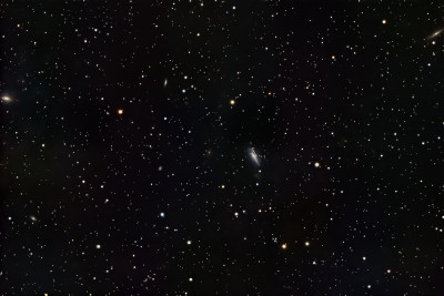 NGC1334