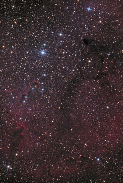 IC 1396, IC 1396A ("Туманность Хобот слона"), VdB 142, B 161 - астрофотография