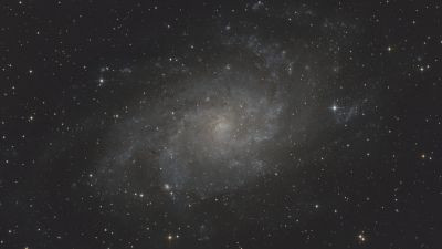 M33