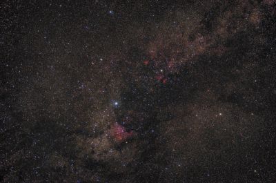 Cygnus widefield