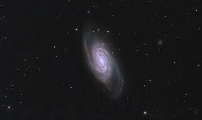 NGC 2903
