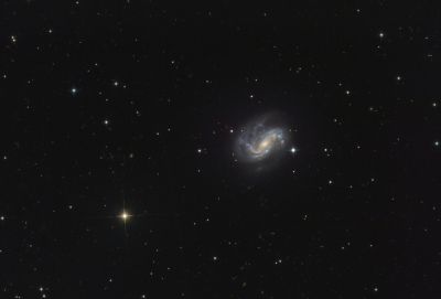 Галактика NGC4051