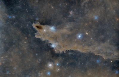  LDN-1235. Акула. 