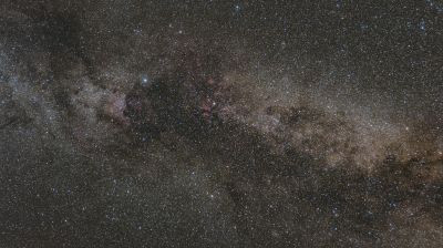 Cygni