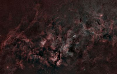 Cygnus (Mosaic of 6 panels)