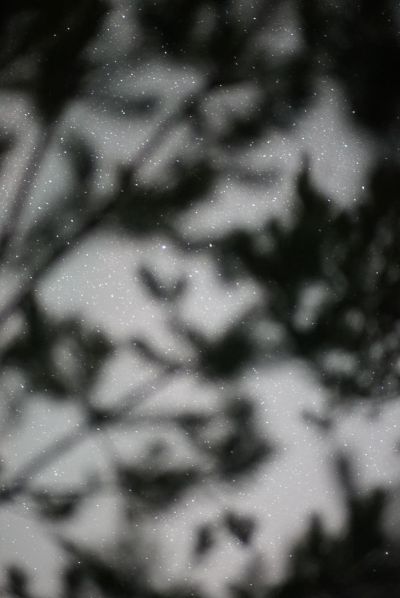 Через тернии к звездам