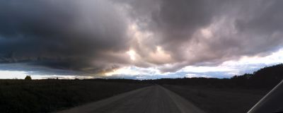 Перед ливнем