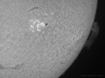 AR 4464 и протуберанец 13.06.2026 в 07:17 UT