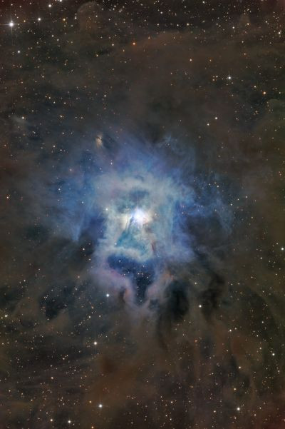 NGC 7023 (Iris) в фильтрах LRGB