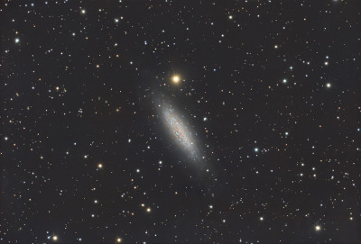 NGC6503