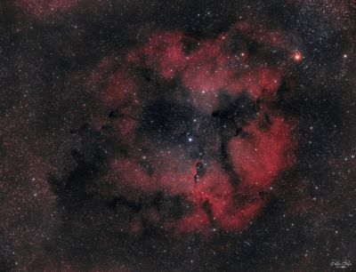 IC1396, Elephant's trunk nebula