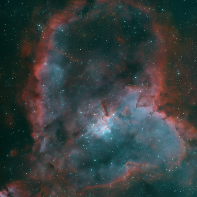 NGC1805