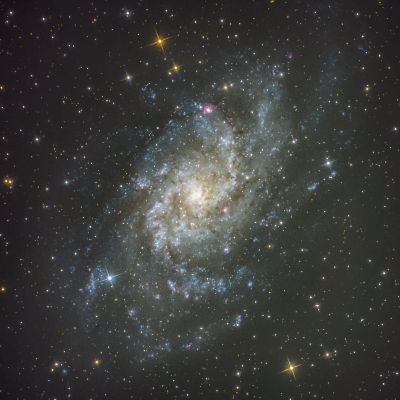  M33