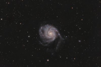 M101