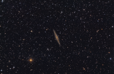 NGC 891