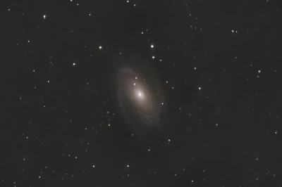 M81