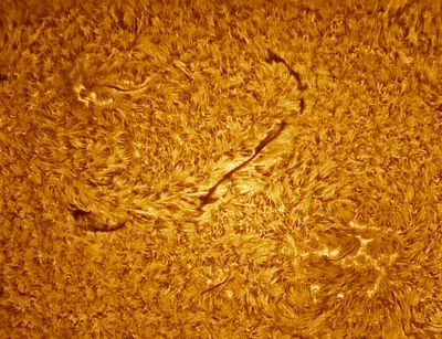Solar filament, 25 feb 2015, 13:54