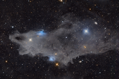 "Dark Shark" LDN 1235