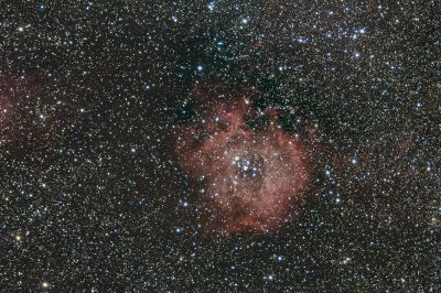 The Rosette Nebula (NGC 2237) - Astrophotography