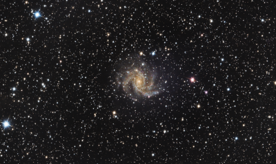 NGC 6946 - астрофотография