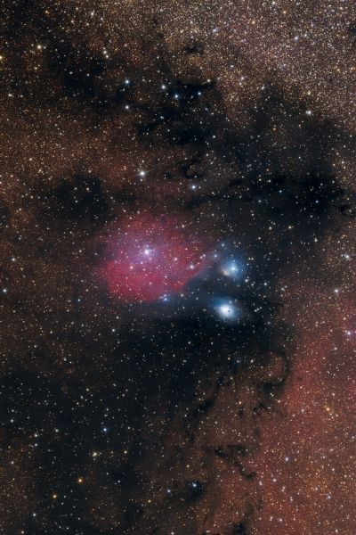 NGC6590