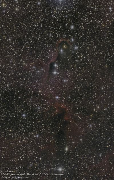 IC 1396A "Хобот слона"