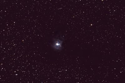 Iris Nebula (NGC 7023)