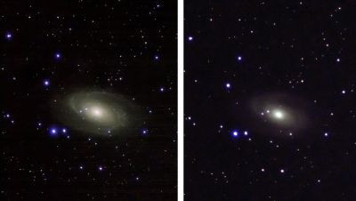 M81