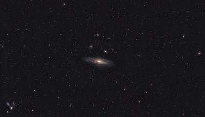 NGC7331