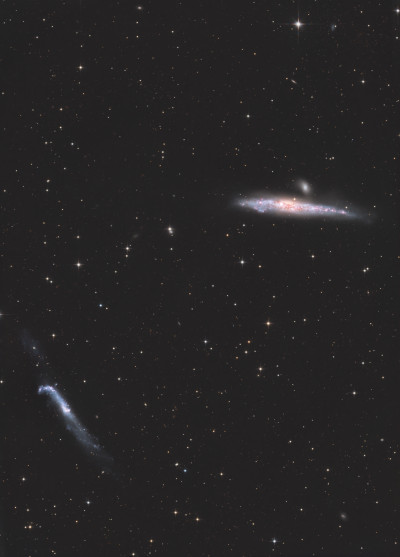 Whale and Hockey Stick - Astrophotography