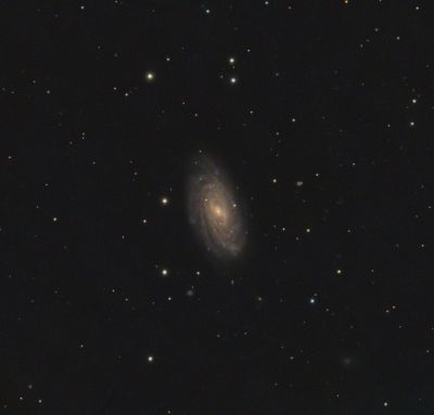 NGC3953