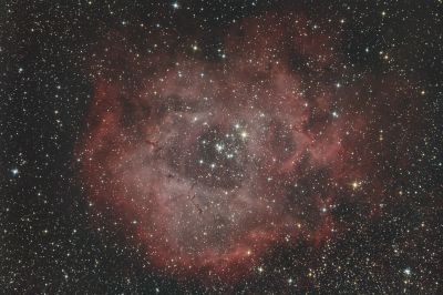 Rosette Nebula