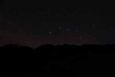 Большая Медведица