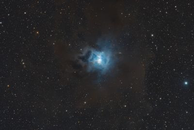NGC 7023 (Iris) - Astrophotography