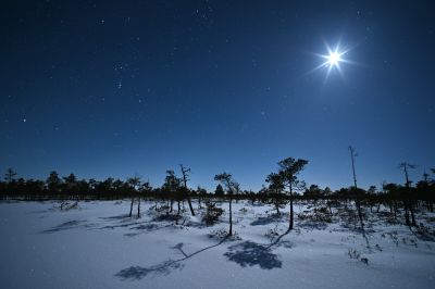 Orion + Moon 01.2024