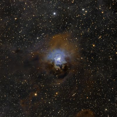 NGC 7023 - Iris Nebula - Astrophotography