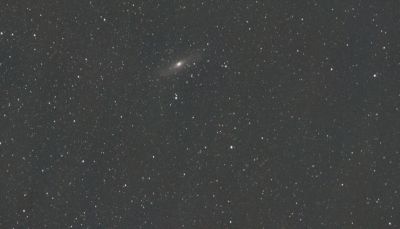 M 31