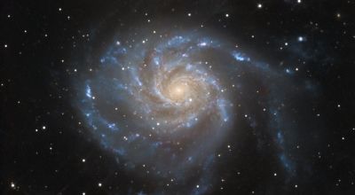 M101