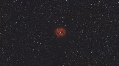Caldwell 19 Cocoon - Astrophotography