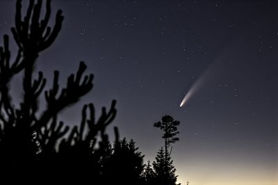 COMET C/2020 F3 NEOWISE over Macclesfield Forest - астрофотография