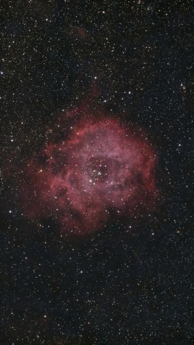 NGC 2237  Rosette Nebula