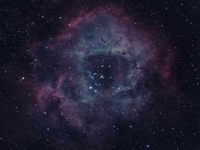 NGC 2237 Rosette HOO - Astrophotography