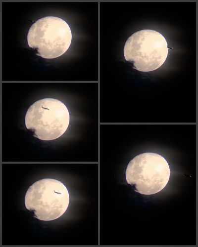 Moon rising and a plane flying across.