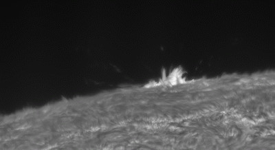 Eared prominence, 23.08.2026 - Astrophotography