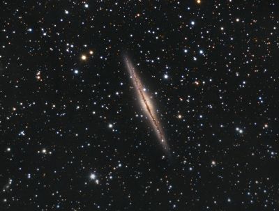 NGC891