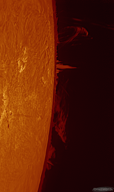 Протуберанцы в хромосфере Солнца