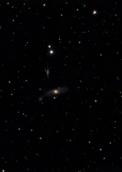 Arp 286 — a group of three interacting galaxies: NGC 5560, NGC 5566, and NGC 5569. - Astrophotography