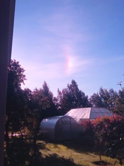 Солнечное гало