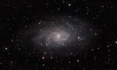 M33