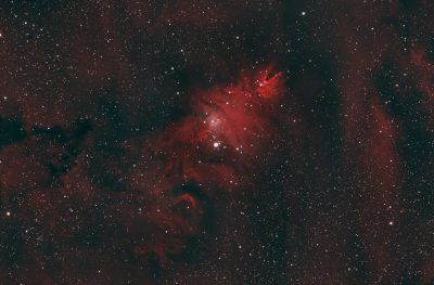 Скопление рождественская елка (Туманность Конус – Туманность Лисий мех)